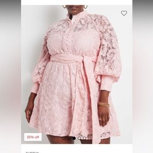 ELOQUII sz 20 Pink Maeve Lace Mini Dress EUC